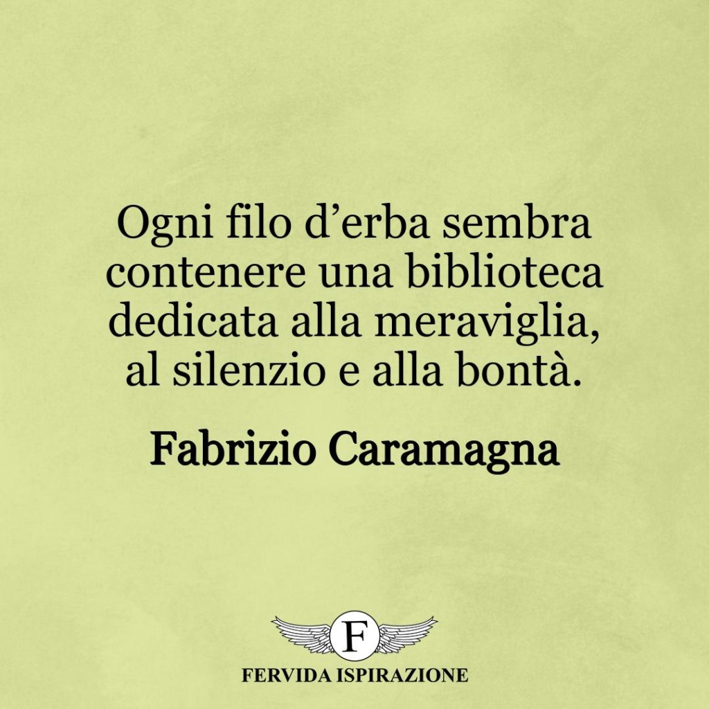 Ogni filo d’erba sembra contenere una biblioteca dedicata alla meraviglia, al silenzio e alla bontà.  ~ Fabrizio Caramagna